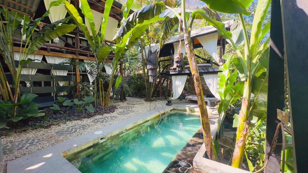 a swimming pool in front of a house with trees at Canaima Chill House in Santa Teresa Beach