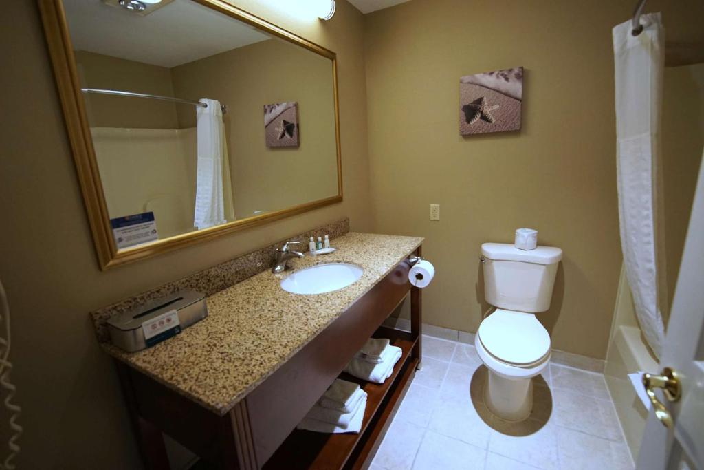 Koupelna v ubytování Quality Inn & Suites Georgetown - Seaford