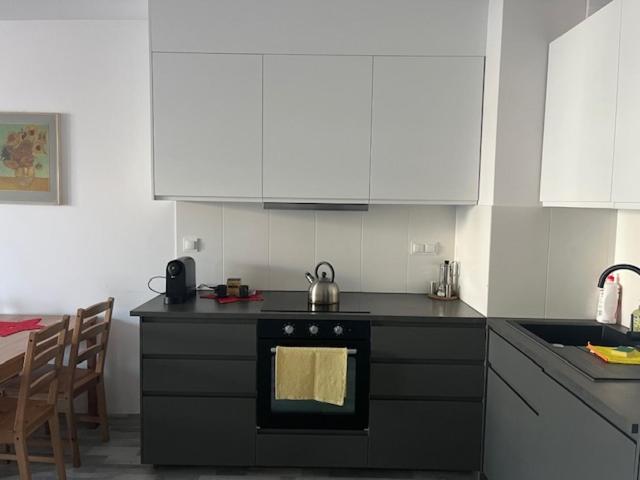 Kuchyňa alebo kuchynka v ubytovaní APARTAMENT HELSINKI