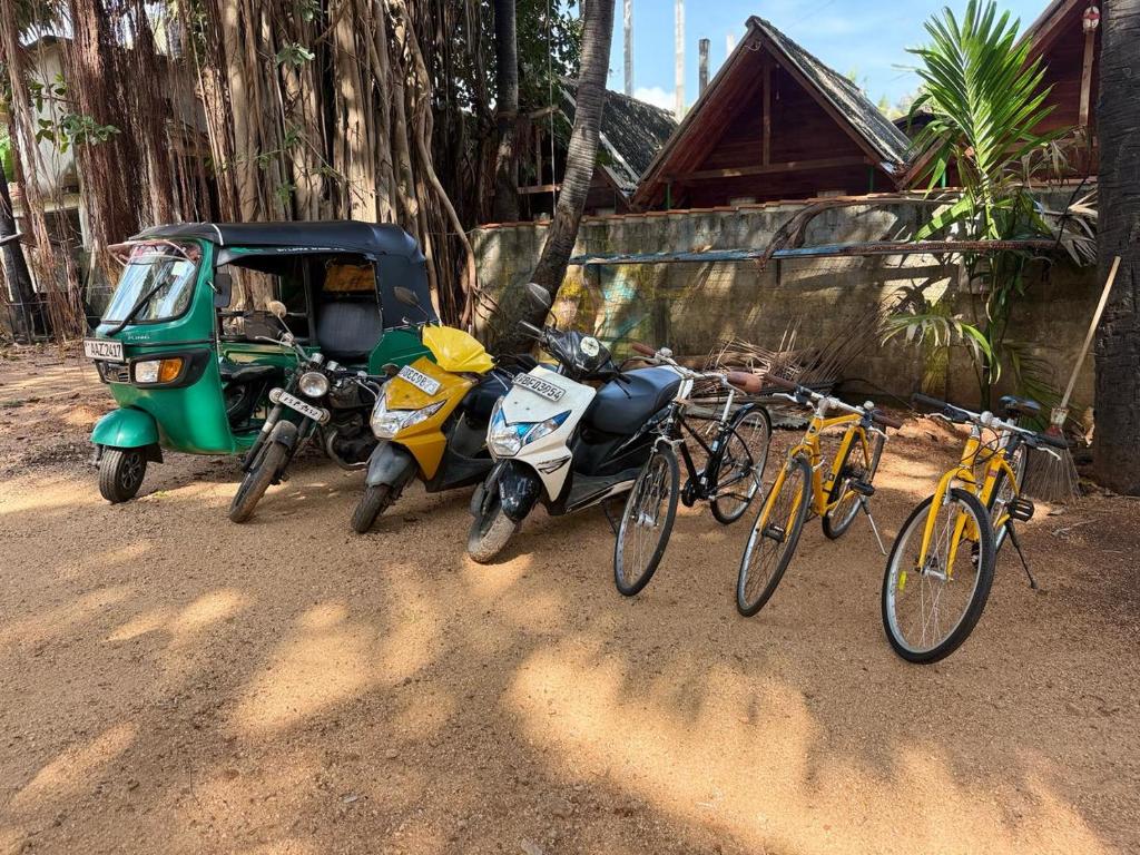 Fotografie z fotogalerie ubytování Cool Banyan Cabana v destinaci Trincomalee