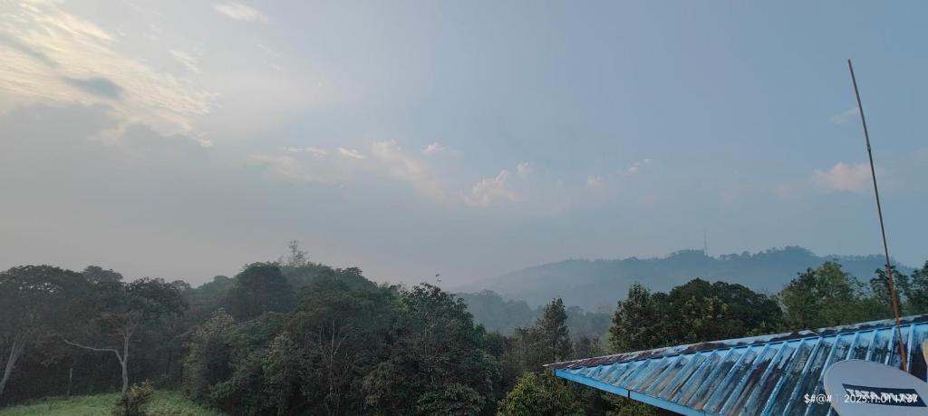 Landskap semula jadi dekat dengan rumah tamu ini
