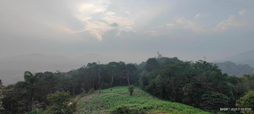 Landskap semula jadi dekat dengan rumah tamu ini