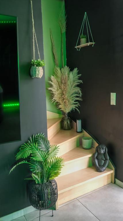 Fotografie z fotogalerie ubytování Ô Spa Privatif - Luxury Suite - JACUZZI-SAUNA-NETFLIX-FISHSPA-SERVIETTES-PEIGNOIRS-SANDALES-CAFE v destinaci Morlanwelz-Mariemont