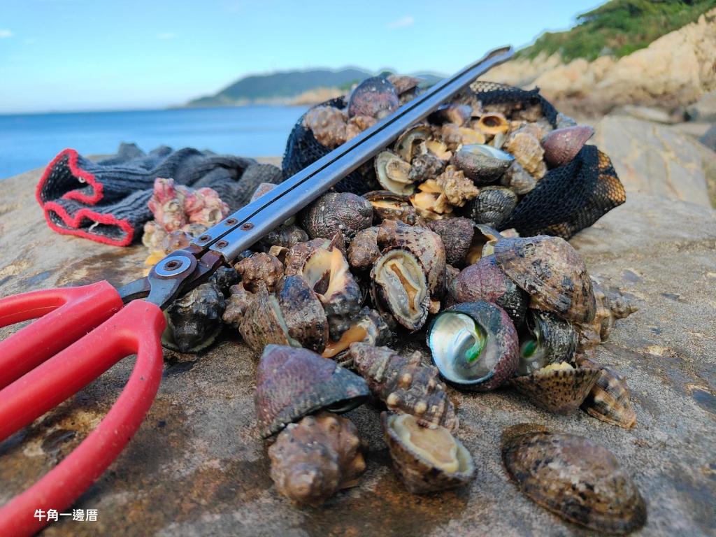 牛角一邊厝評價、特色體驗、包棟住宿、房價資訊 – 馬祖南竿閩東老宅民宿 - 照片 18
