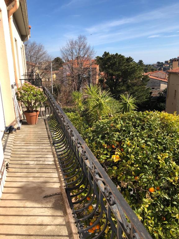 une passerelle en bois à côté d'une maison ornée de plantes dans l'établissement Komfortables Haus mit zwei Terrassen, à Collioure