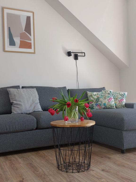 MR HOME APARTMENTS - Limba - 15