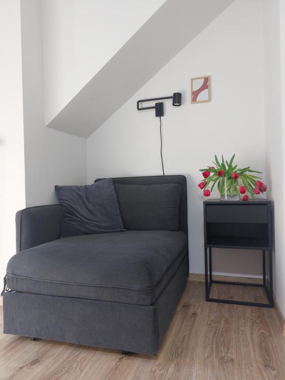 MR HOME APARTMENTS - Limba - 14