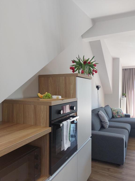 MR HOME APARTMENTS - Limba - 10