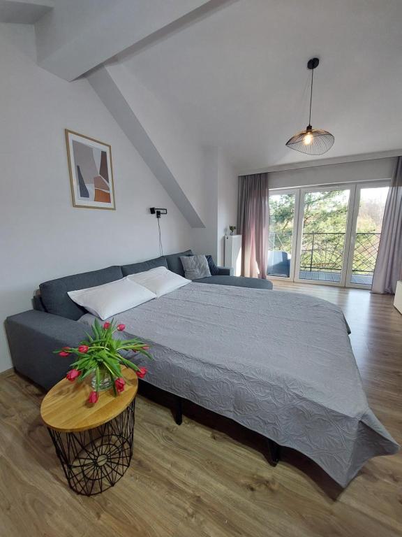 MR HOME APARTMENTS - Limba - 2