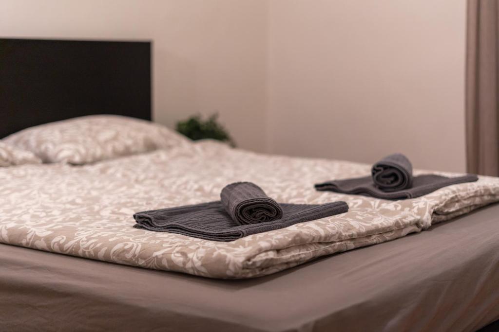 Fotografie z fotogalerie ubytování Cozy Apartment in Akacfa Street v Budapešti