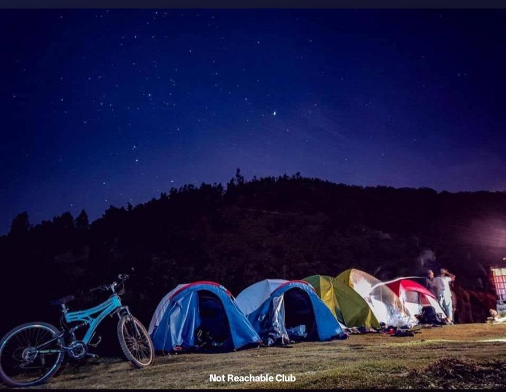 Příroda nedaleko luxury tent