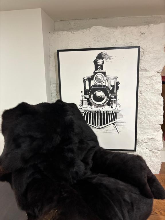 a black dog laying in front of a picture of a train at le sous sol du vétérans in Lac-Mégantic
