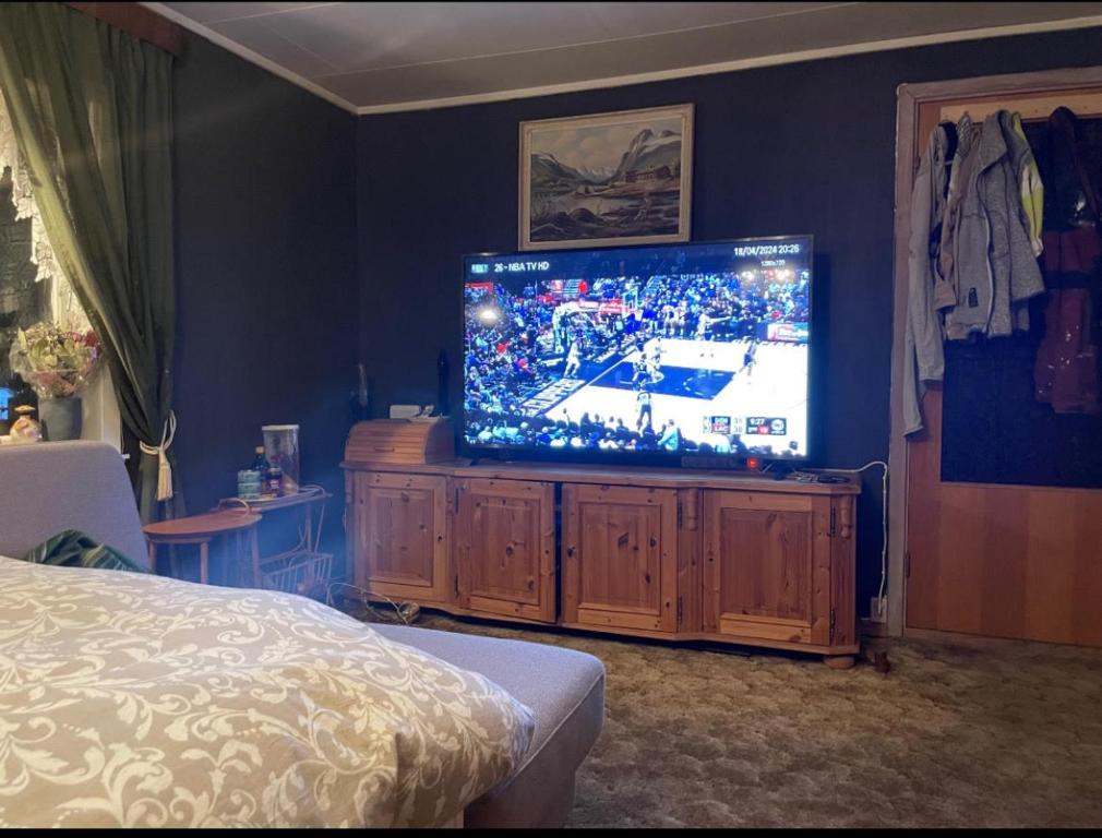 TV a/nebo společenská místnost v ubytování MOJITO`s ROOM