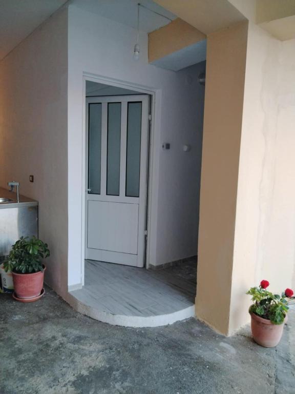 a door in a room with two potted plants at Perkli Bezhani Rooms in Gjirokastër