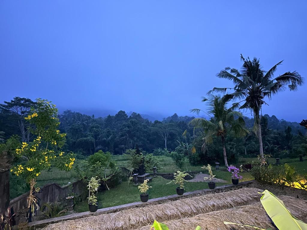 Bien dormir house - 15