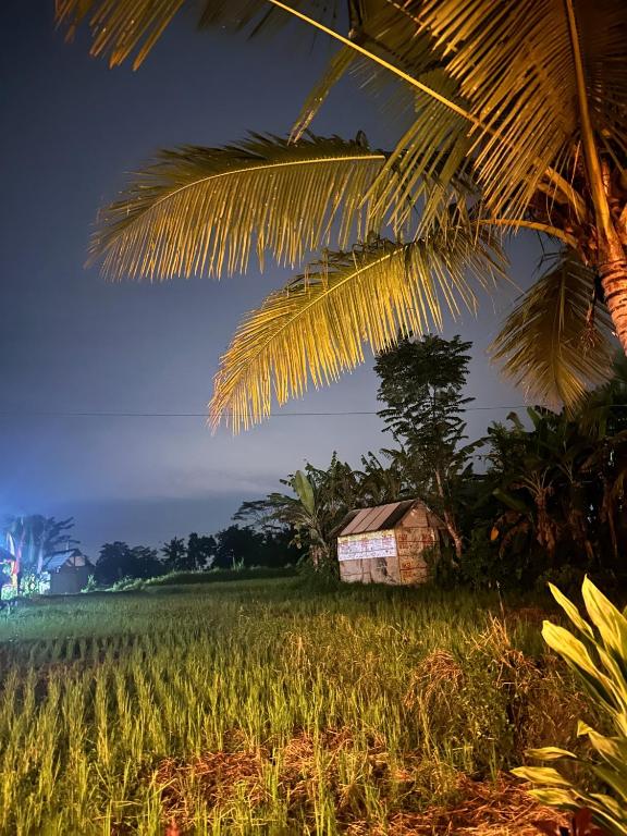 Bien dormir house - 19