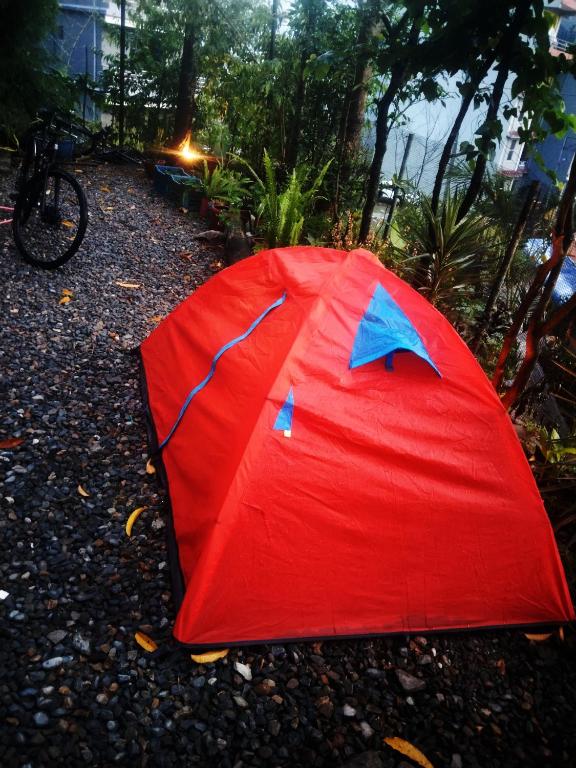 Galeri foto HOTEL FORESTWAY Hostel & Backpackers di Pokhara