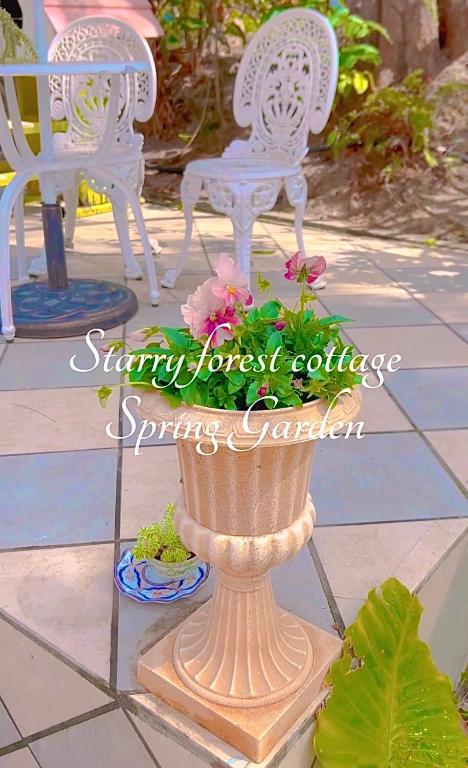 Zahrada ubytování 猫とピアノと星空のリゾートブティックコテージ -Starry Forest Cottage Okinawa-