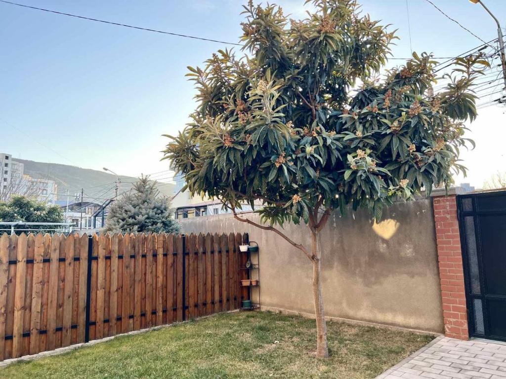 Fotografie z fotogalerie ubytování Villa in Tbilisi v destinaci Tbilisi City