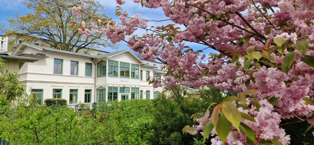 Κήπος έξω από το Villa Flora