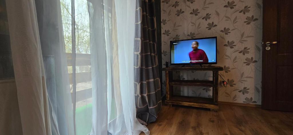 TV a/nebo společenská místnost v ubytování Vila Curtea de Arges