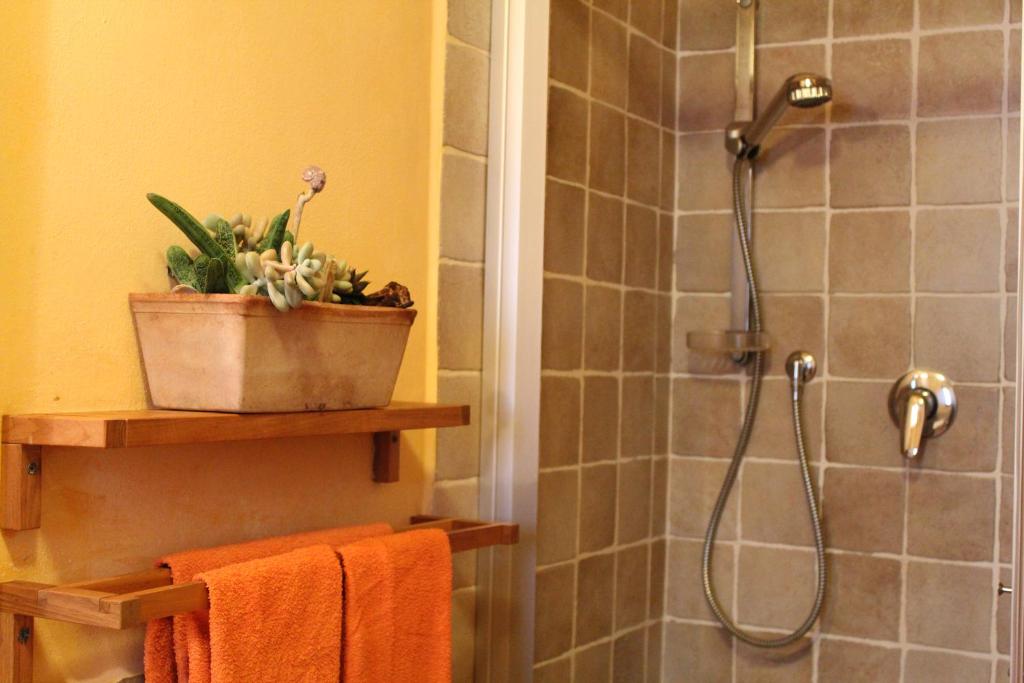 Koupelna v ubytování Il Cielo Bio - Il più piccolo B&B del Chianti