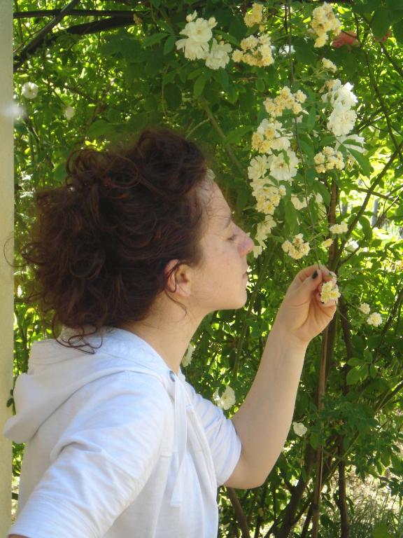 Hosté ubytování Il Cielo Bio - Il più piccolo B&B del Chianti