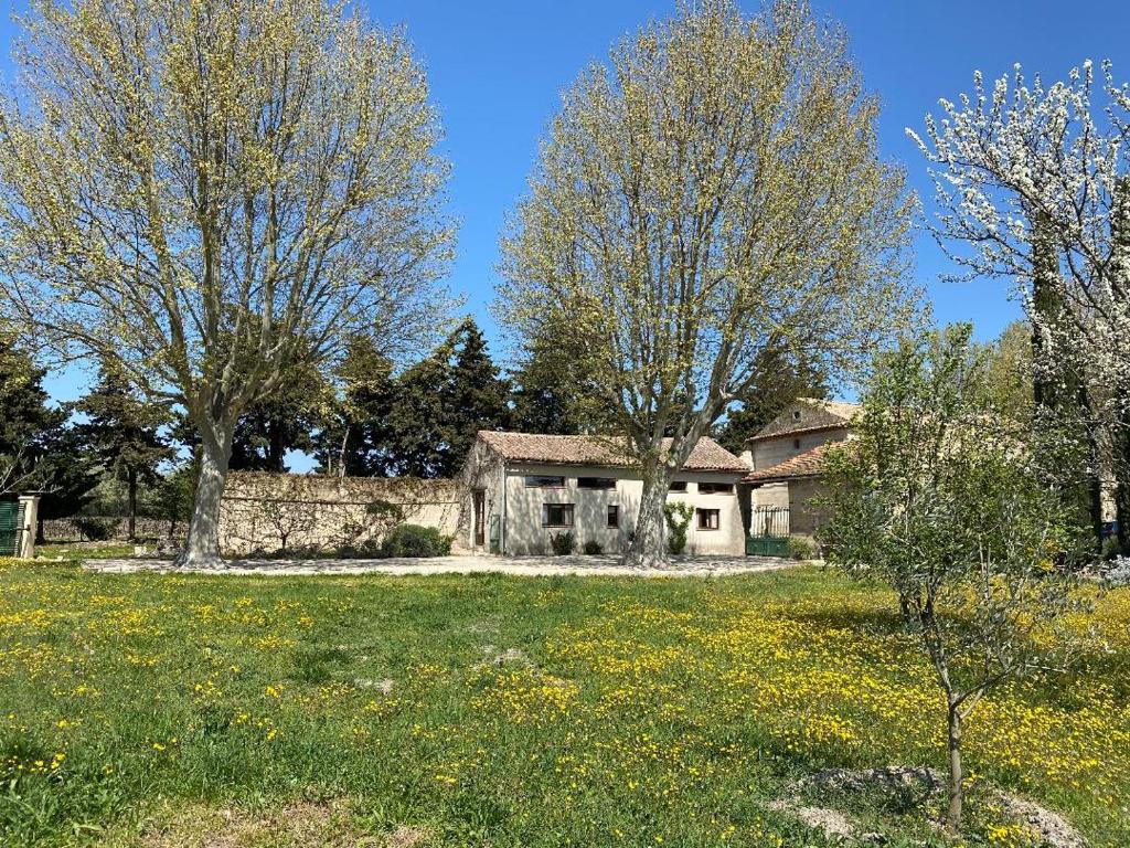 une ancienne maison dans un champ planté d'arbres et de fleurs dans l'établissement Petite maison en Drôme provençale, à Tulette