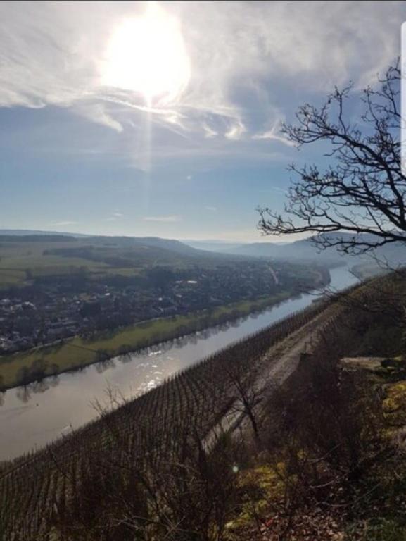 a view of a river with the sun in the sky at Vacation home Moselsteg in Brauneberg