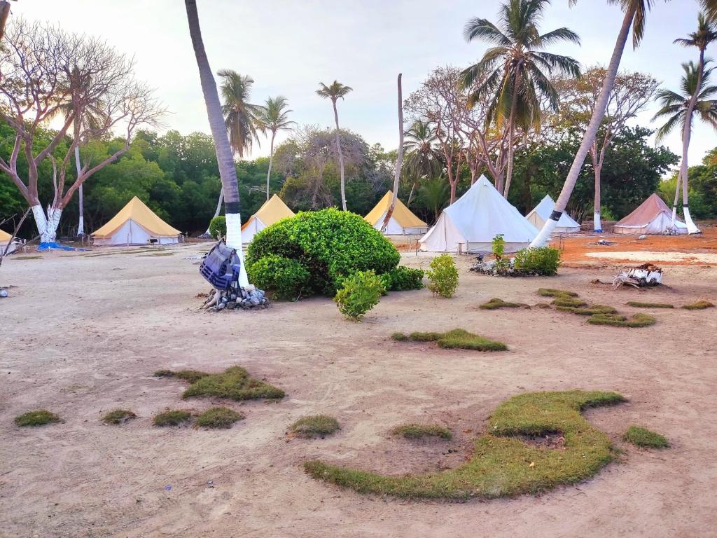 Zahrada ubytování Tintipán Glamping
