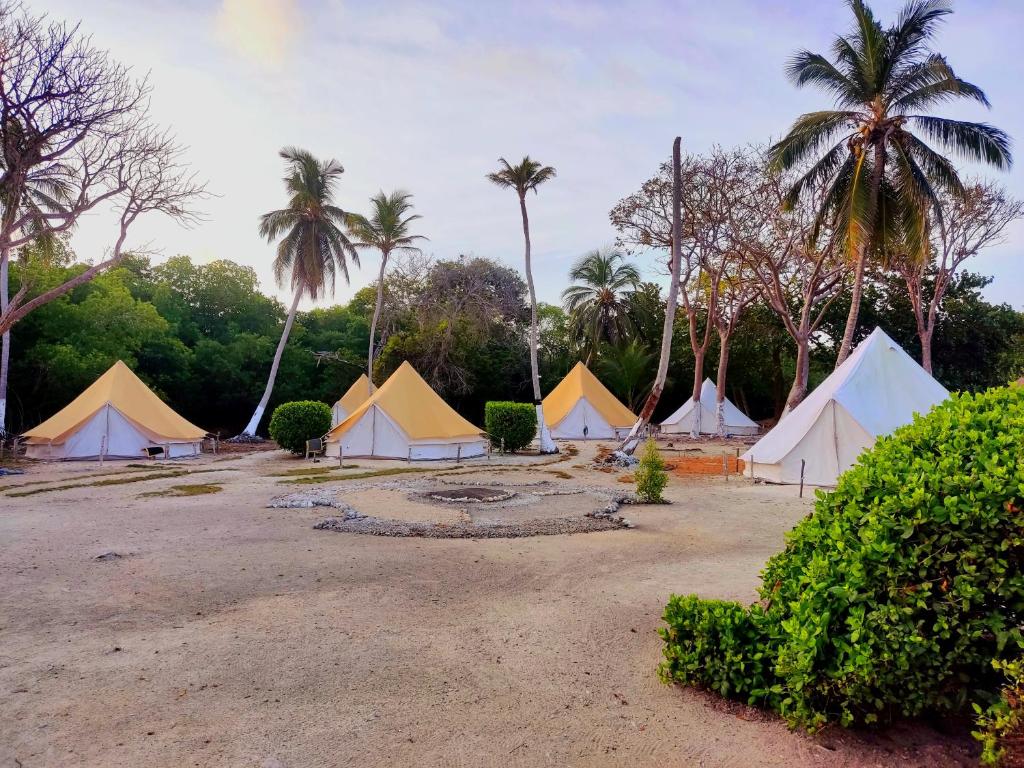 Zahrada ubytování Tintipán Glamping