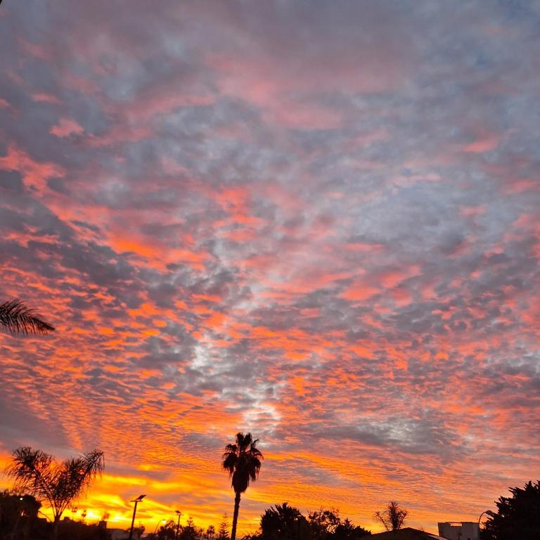a sunset with palm trees and a cloudy sky at Chilches Sunset Beach in Vélez-Málaga