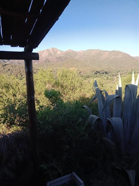 a view of the desert from a house with a plant at Casa Chakana in La Cumbre