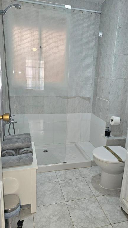 A bathroom at Ideal Holiday Apartment City Center
