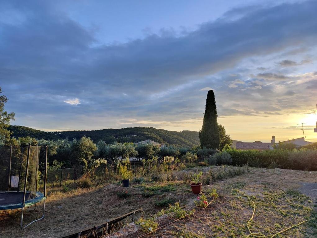 Photo de la galerie de l'établissement Studio - Un coin du sud, à Draguignan