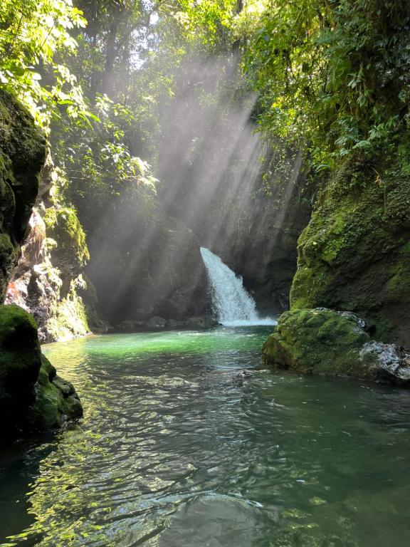 a waterfall in front of a river in a forest at Pozas y Cascadas La Presa in Río Cuarto