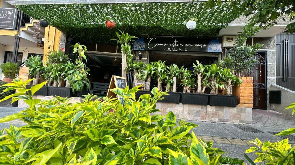 Zahrada ubytování Casa Egos Pop Laureles