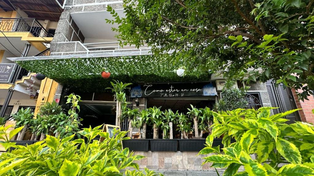 Zahrada ubytování Casa Egos Pop Laureles