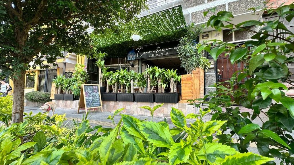 Zahrada ubytování Casa Egos Pop Laureles