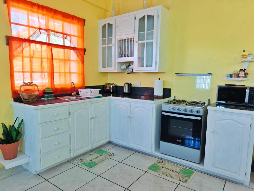 Kuchyň nebo kuchyňský kout v ubytování Isla Vista Apartment Canouan