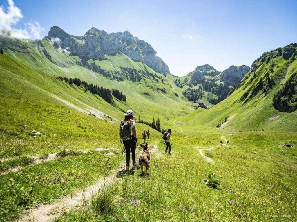 un groupe de personnes et un chien marchant sur une montagne dans l'établissement Apartment in Châtel near Barbossine Lift, à Châtel