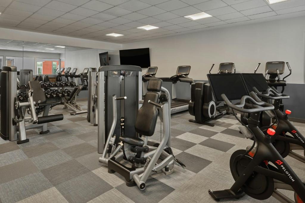 Fitness centrum a/nebo fitness zařízení v ubytování Element Basalt - Aspen