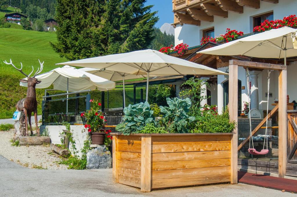 Zahrada ubytování Hotel und Alpen Apartments mit Sauna - Bürglhöh