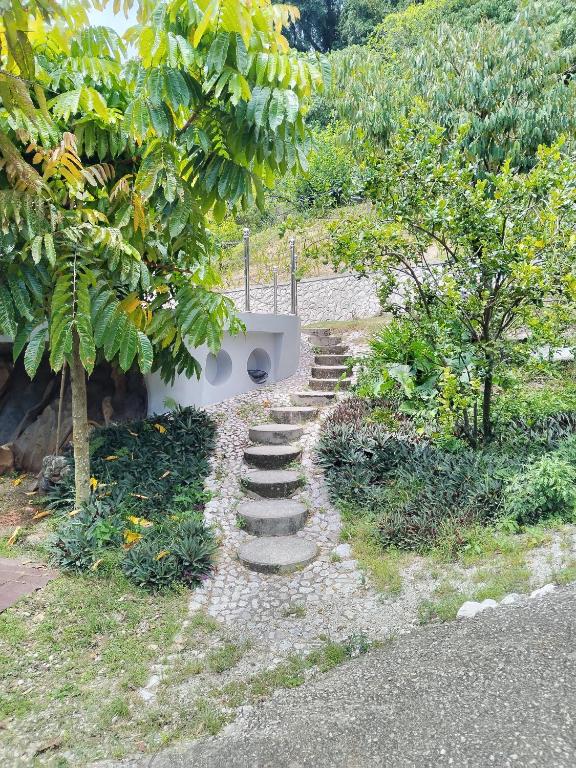 Zahrada ubytování Rocky Farm