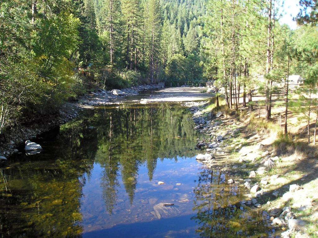 a river in the middle of a forest at Yosemite Lakes Wheelchair Accessible Cabin 46 in Harden Flat