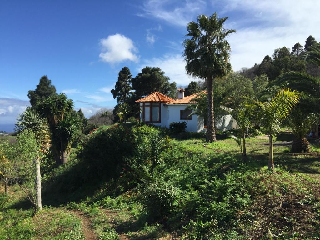una casa en una colina con palmeras en Finca Madrugada, en Santa Cruz de la Palma