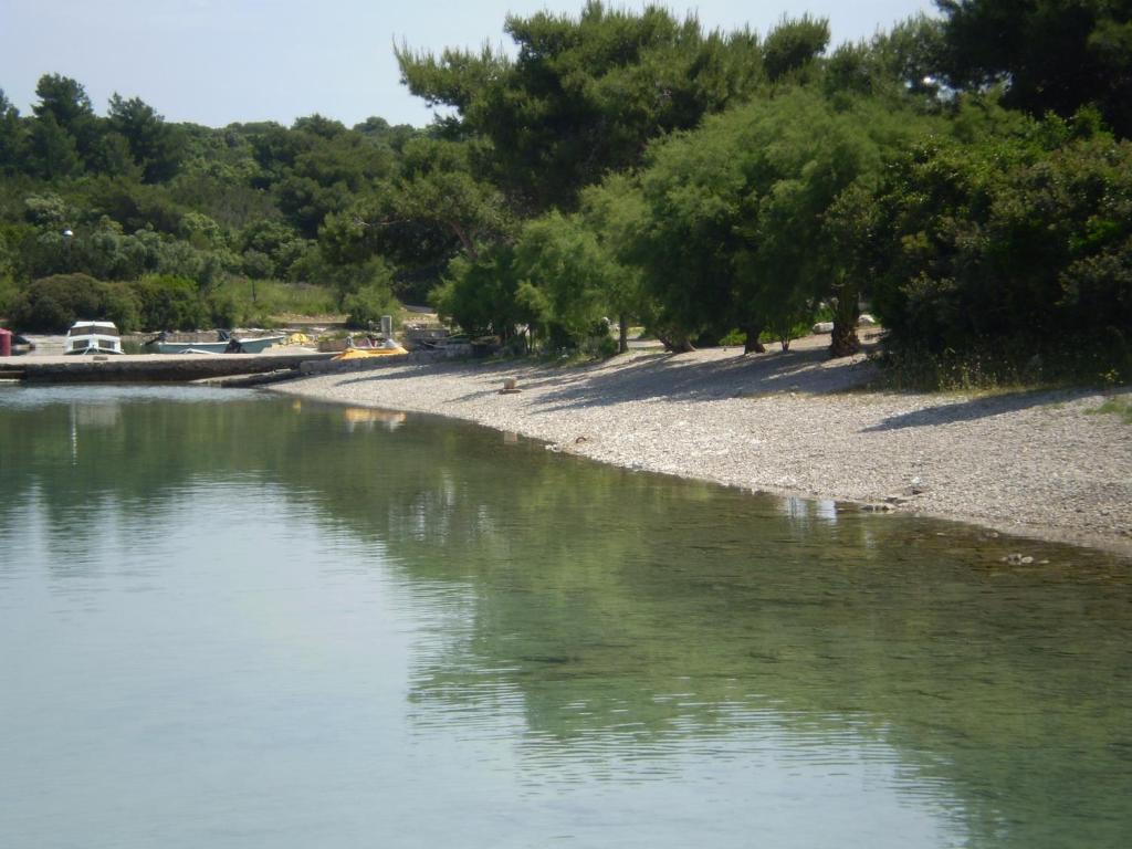 a body of water with trees and a beach at Apartments Đuričić in Lovište