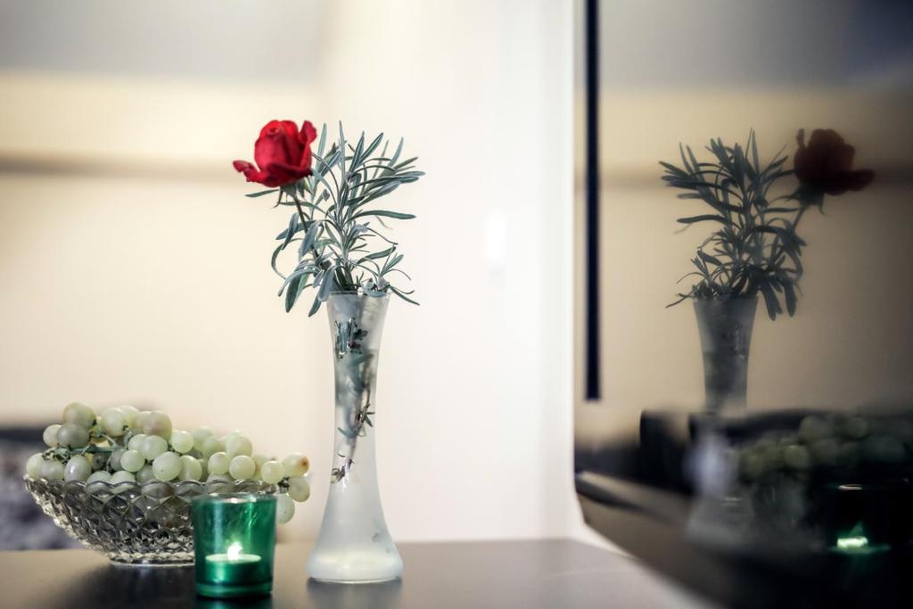 Rooms Villa Iva - Single Room