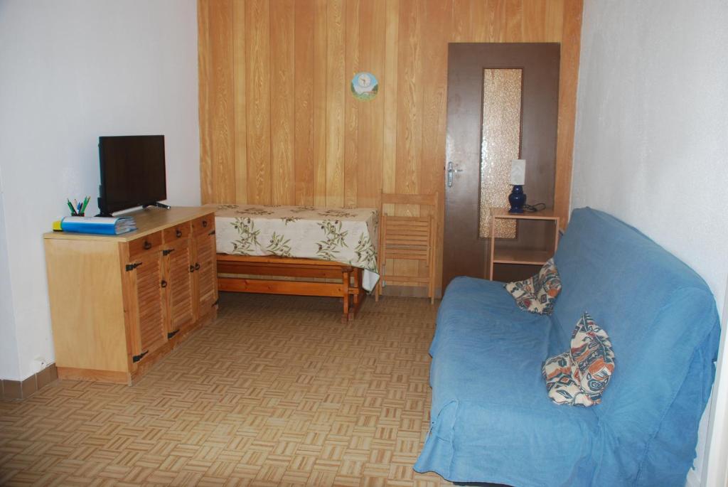 un salon avec un canapé bleu et une télévision dans l'établissement PORT-LEUCATE - PROXIMITE PLAGE - 4 personnes, à Leucate-Plage