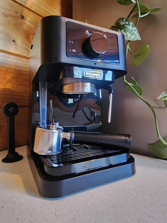 Te Mata Peak Retreat - Resim 9